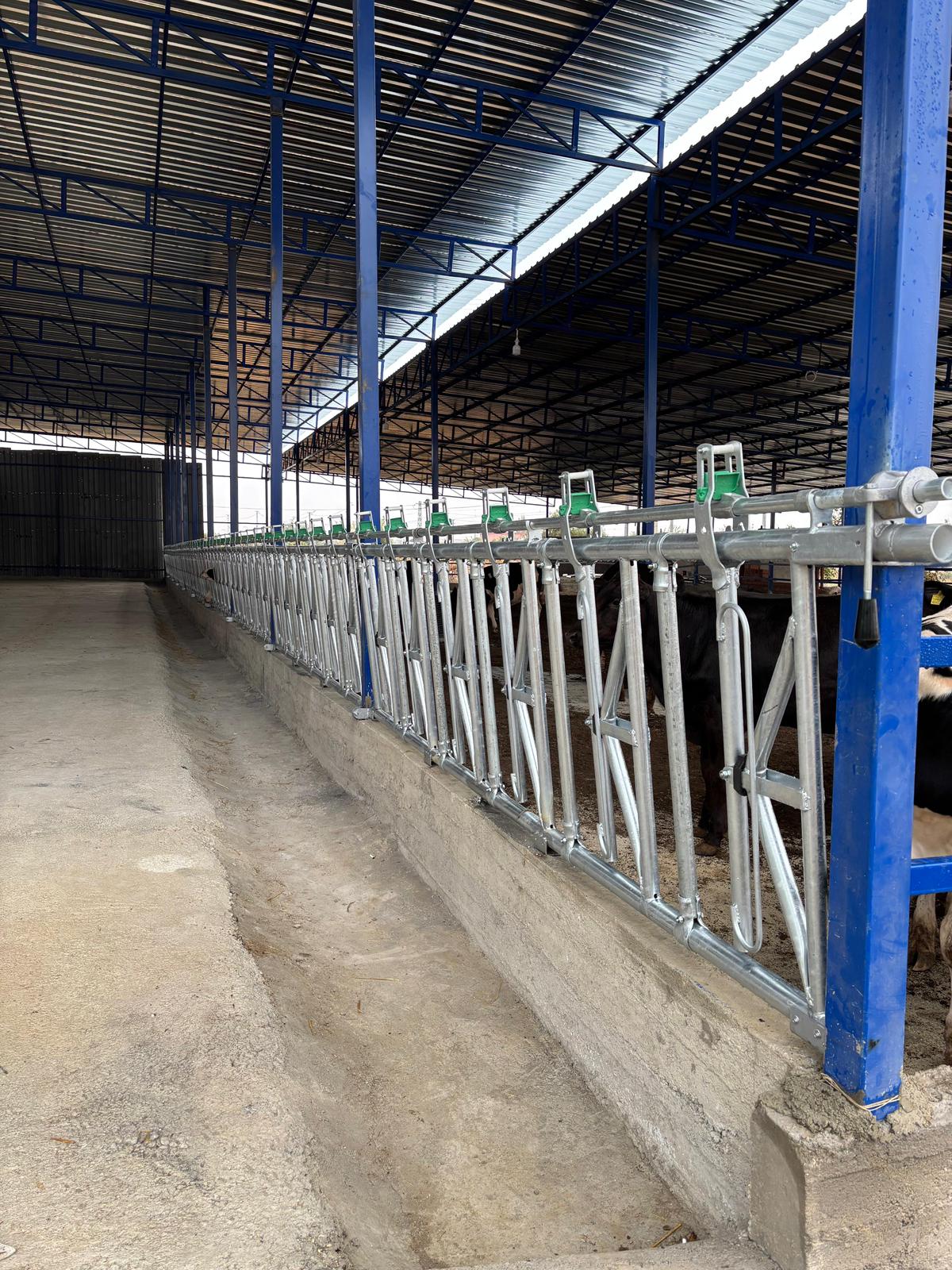 WhatsApp Image 2026-01-02 at 16.55.40 (1)