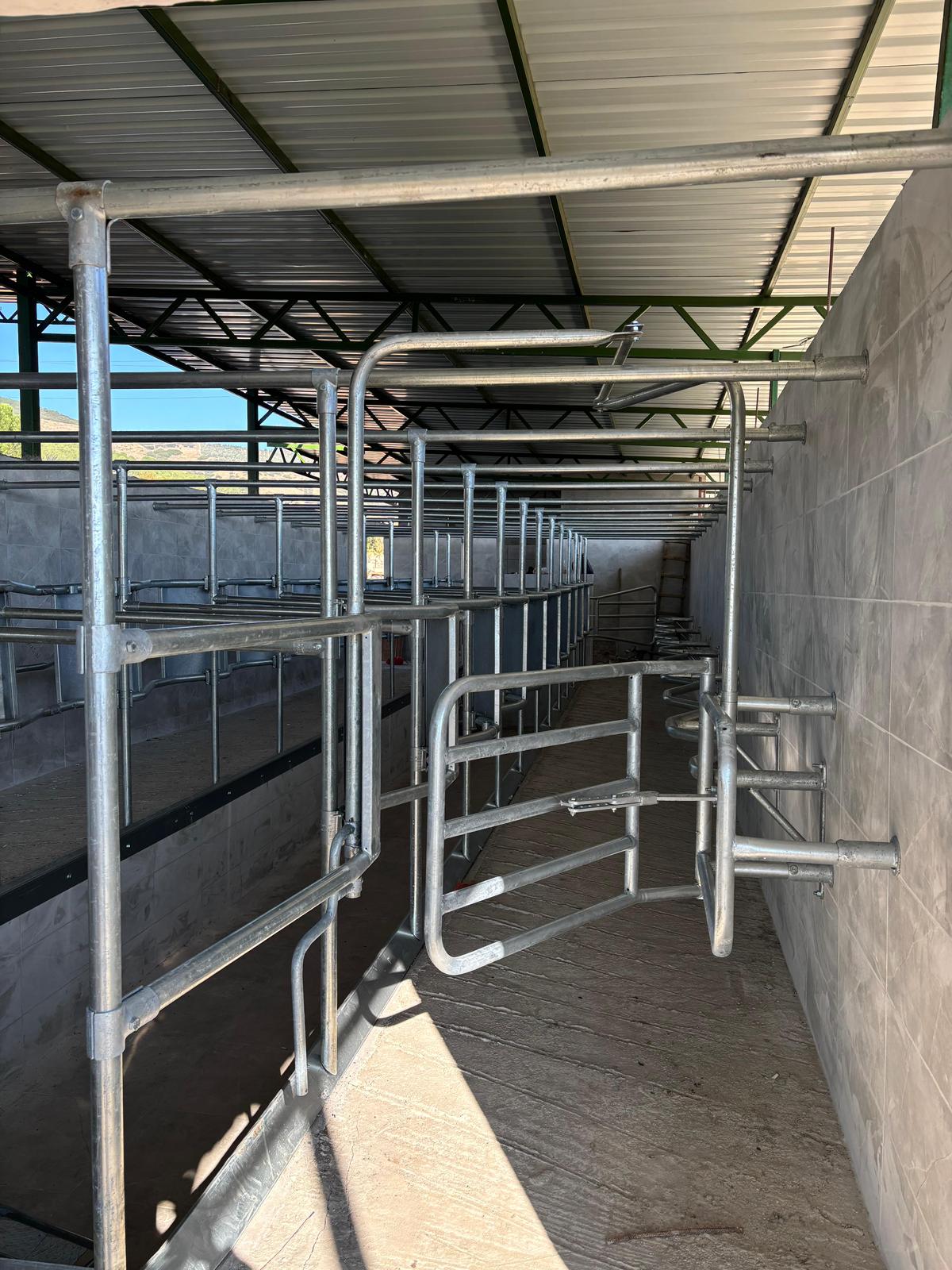 WhatsApp Image 2026-01-02 at 16.55.40 (3)