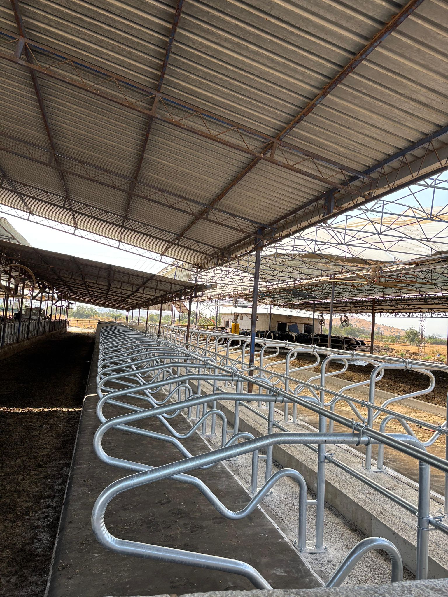 WhatsApp Image 2026-01-02 at 16.55.41